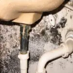 Black Mold Removal-Getting Rid Of Black Mold On Drywall Underneath The Sink