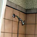 Bathroom Mold Removal - Black Mold In Bathrooms