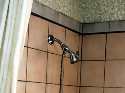 Bathroom Mold Removal - Black Mold In Bathrooms