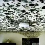 Black Mold Removal-Black Mold In Homes