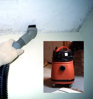 Mold Removal And Mold Removal Techniques
