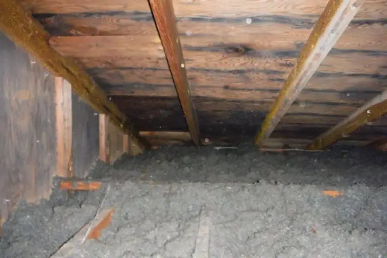 How To Get Rid Of Black Mold In The Attic