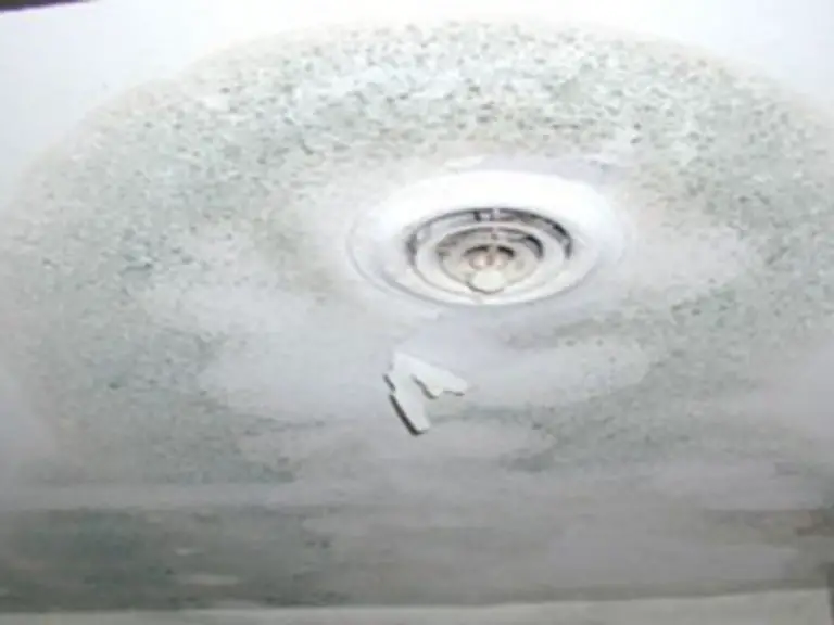 Causes of Black Mold in Homes - mold on ceiling