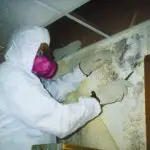 Mold Remediation Tips