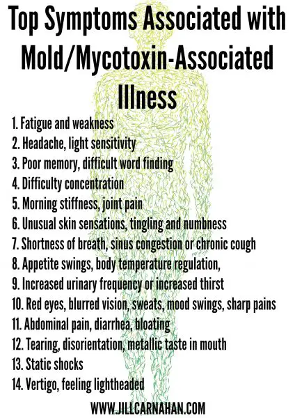 Symptoms of black mold exposure in humans