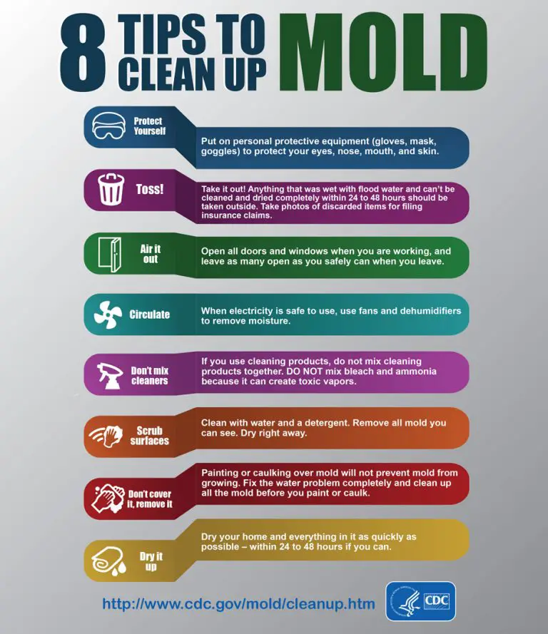 Here are 11 tips for cleaning up mold: