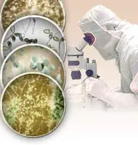 Black Mold Removal-testing for mold